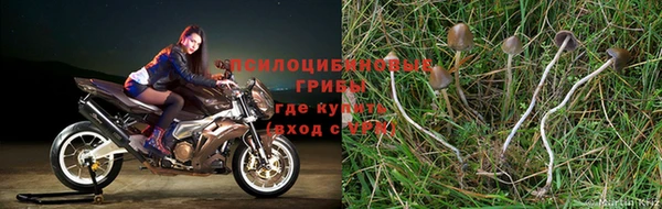 мескалин Семилуки