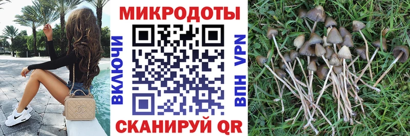Галлюциногенные грибы прущие грибы  МЕГА онион  Спас-Деменск 